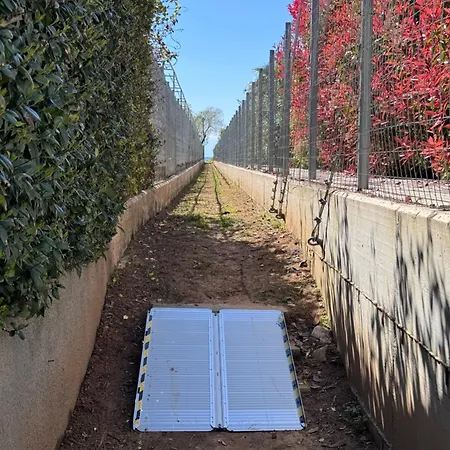 Claudistaudis בית נופש